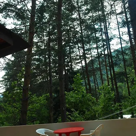 Holiday Holiday home